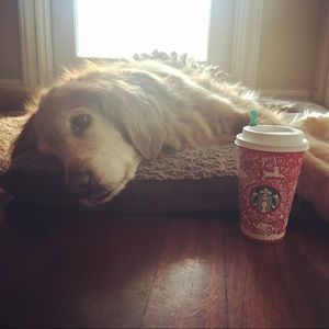 Meet your Posher, Marina